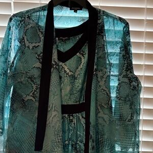 Elegant Teal and Black Women's Wedding Dress